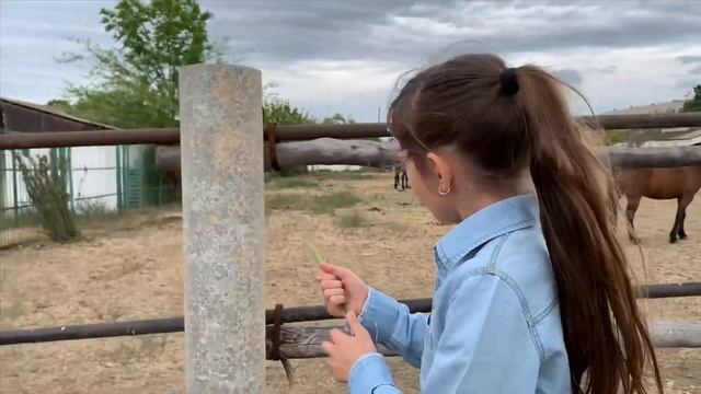 Аскания Нова 2020 смотреть онлайн