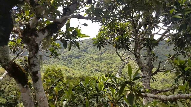 400 метров над уровнем океана с Аней смотреть онлайн