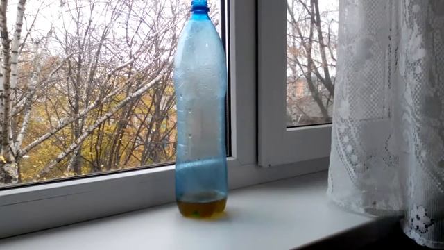 Как избавиться от мышей в частном доме навсегда to catch mice смотреть онлайн