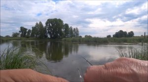 ХЕРАБУНА  СОТНЯ КАРАСЕЙ НА НОВУЮ УДОЧКУ "ХайЗан II" 4.5м от Старого Шамана