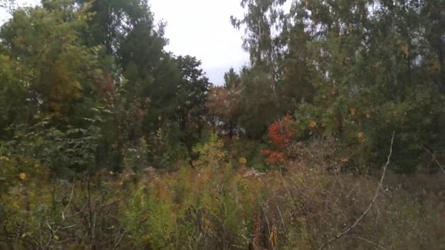 Осень, как она хороша смотреть онлайн