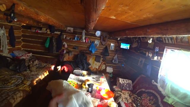 ТАЙГА, ЗИМОВЬЕ, МОРОЗ. Не стало Були и снова убежал Пират. смотреть онлайн