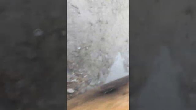 Castrol моторное масло смотреть онлайн