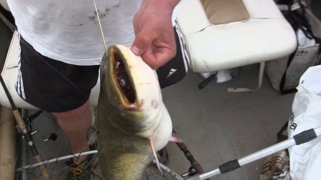 Рыбалка на Ахтубе, джиг - сом, поролон вне конкуренции! смотреть онлайн