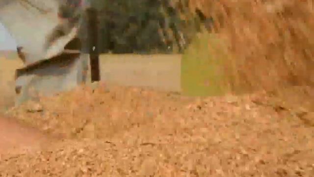 Жатвенное служение 2014 смотреть онлайн