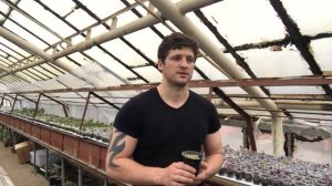 Цеолит для растений и другие компоненты минерального субстрата