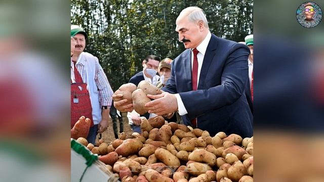 Лукашенко собирает картошку @Crazy AI #юмор #приколы #нейросеть смотреть онлайн