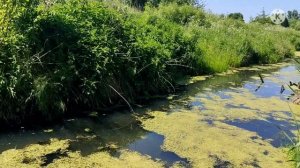 Ока - исток реки