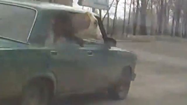 Липецк он такой Липецк смотреть онлайн