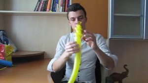 Аэродизайн цветы из воздушных шаров. Мимоза. Aerodesign flowers.