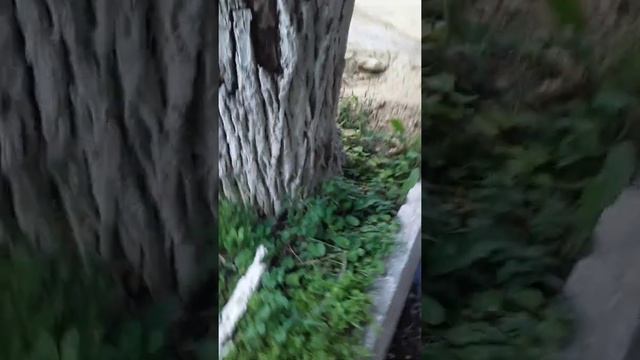 Ставропольский край г.Михайловск смотреть онлайн