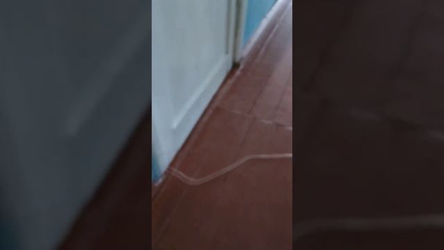 Какие опасности может таить в себе школьный туалет? смотреть онлайн