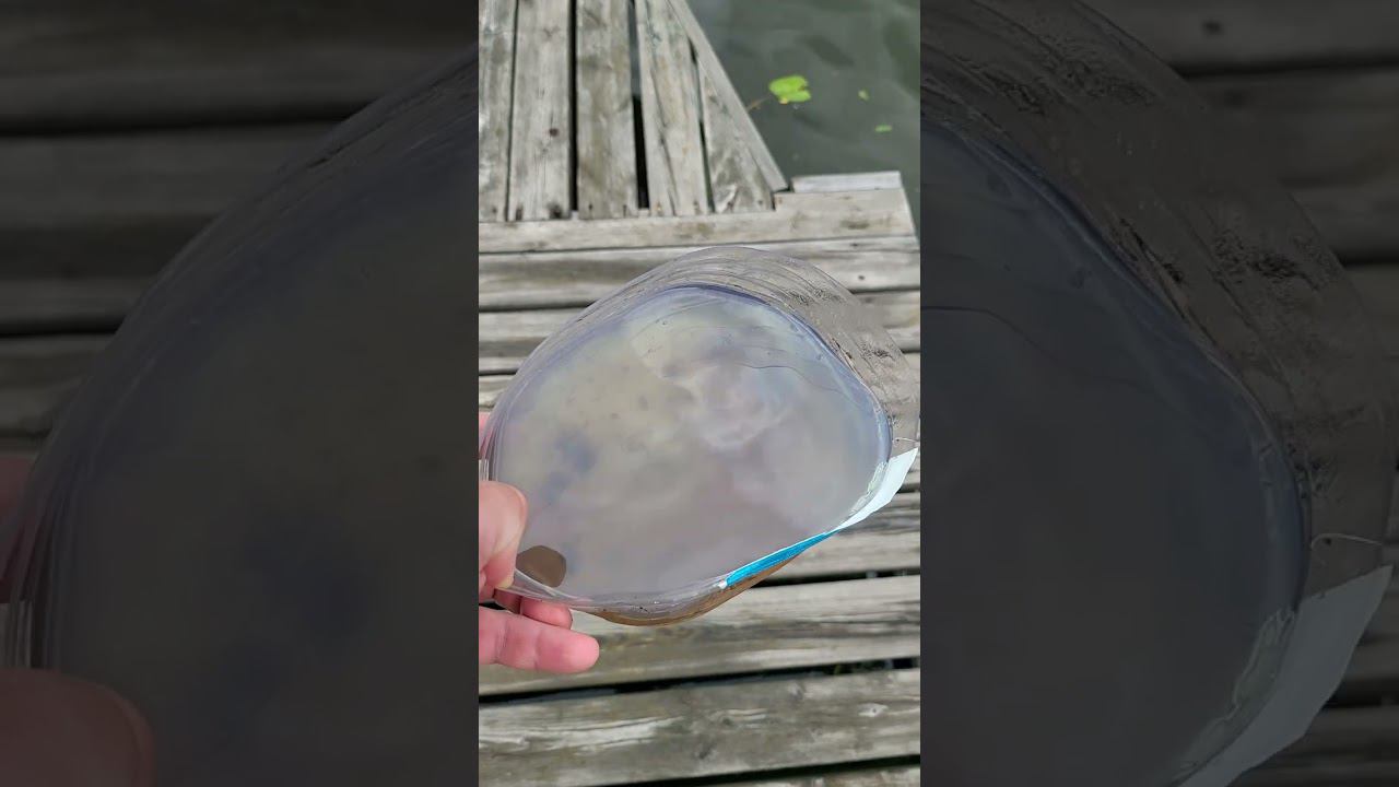 надо знать, где заправляться.... смотреть онлайн