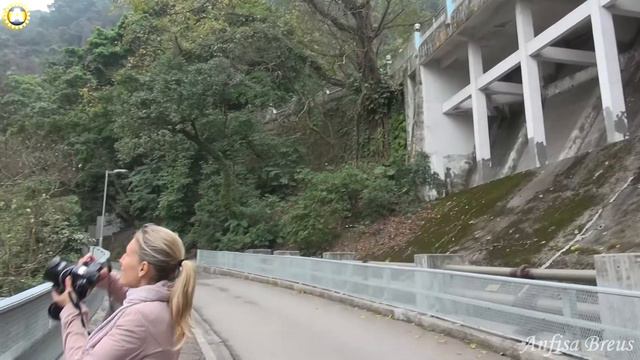 Пеший путь от самого длинного в мире эскалатора до пика Виктории. Гонконг. 39 смотреть онлайн