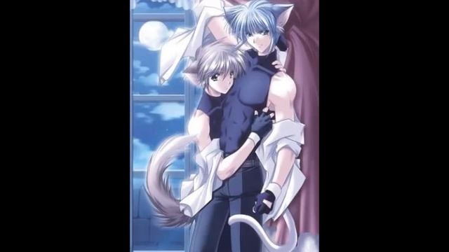 Black Cat смотреть онлайн