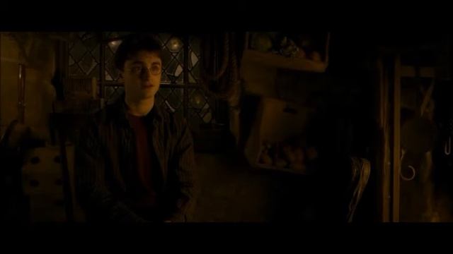 Гарри Поттер и Принц-полукровка. Лепесток лилии смотреть онлайн