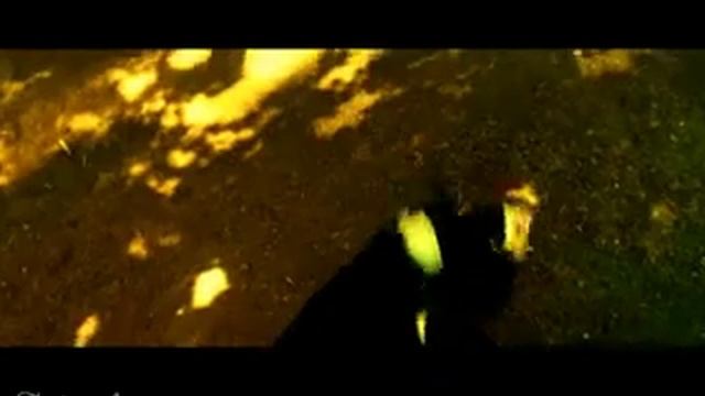 Гермиона Грейнджер и Драко Малфой Моя попытка №5 смотреть онлайн