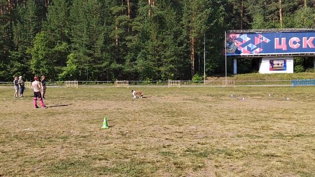 обидиенс - 0, Екатеринбург, 7 августа 2022 смотреть онлайн