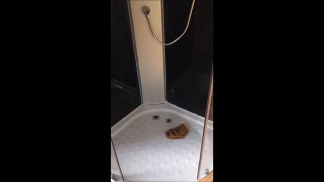 обзор душевой кабины смотреть онлайн