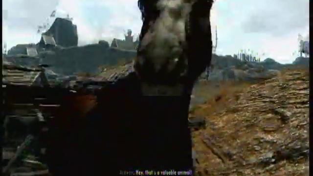 Random Skyrim Vid (9)-I ONLY KILLED A CHICKEN смотреть онлайн