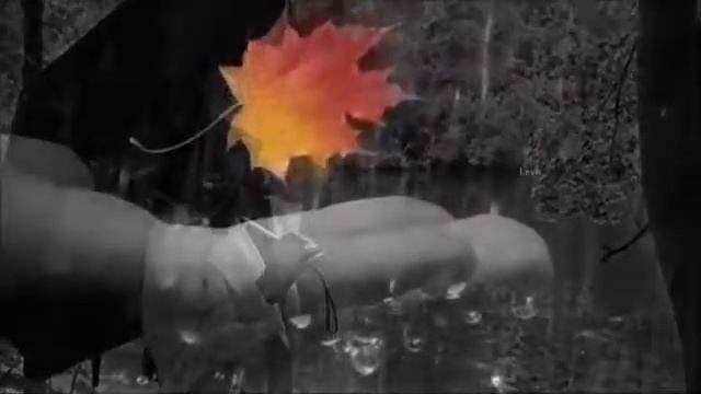Yaroslav Nikitin Waltz in the Rain2 смотреть онлайн