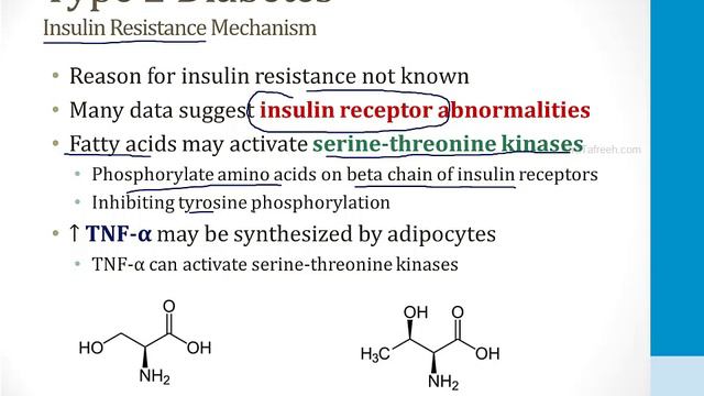Endocrinology - 3. Pancreas - 2.Diabetes Atf