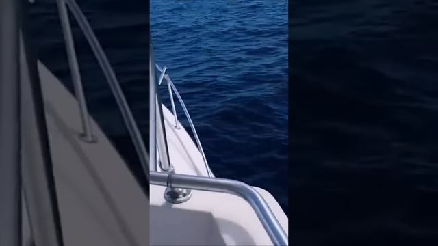 Дрон улетает в Китай смотреть онлайн