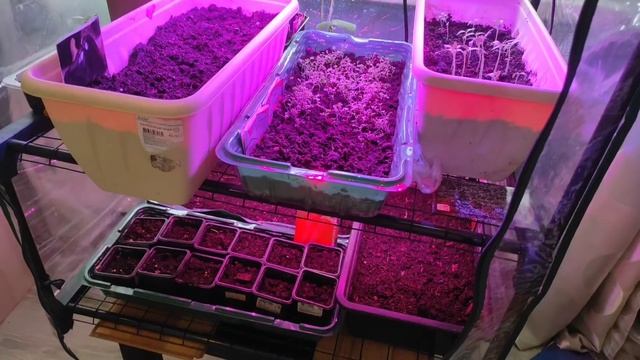 ШОК-Подарок от зрителей для новорожденной дочки! Одеть троих погодок гулять? Бытовуха с детьми? смотреть онлайн