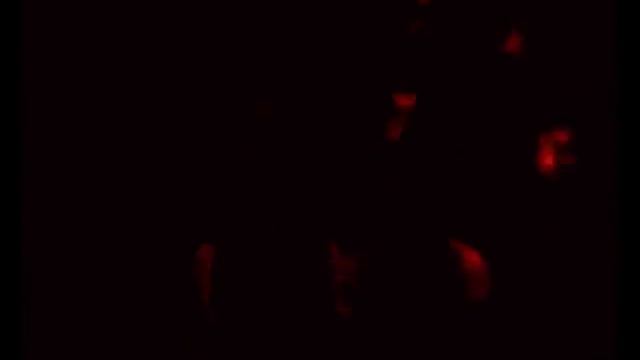 черепашка поделка смотреть онлайн