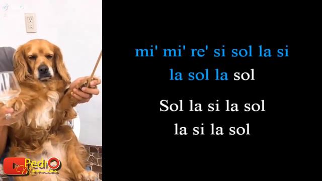 Stand by me dog version - Flute cover (Flauta con notas) смотреть онлайн