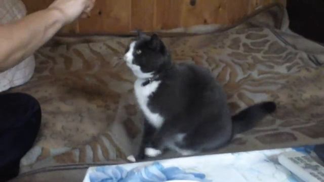 Покажи где у тебя ушки ! ! ! смотреть онлайн