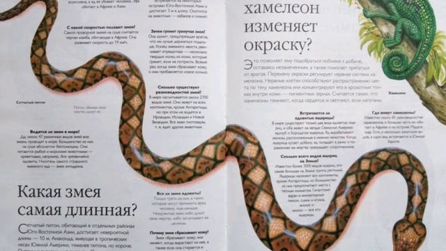 Какая змея самая длинная? * Почему хамелеон изменяет окраску? * слушать книгу смотреть онлайн