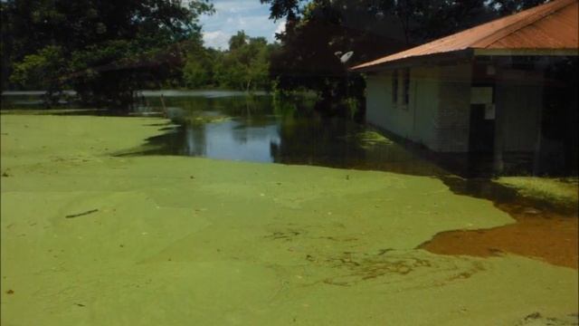 Louisiana Adventures смотреть онлайн