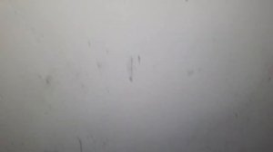 Как избавиться от грибка и плесени на стенах и потолке