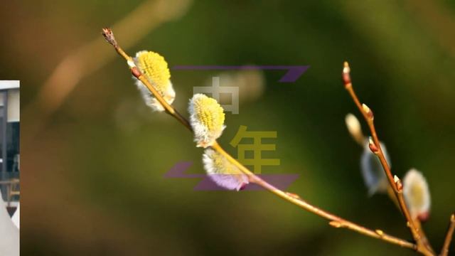 【中年3月09日】21岁的#赵露思，穿粉色抹胸连衣裙，秀肩秀腿太不简单了 #showbiz #zhaolusi смотреть онлайн