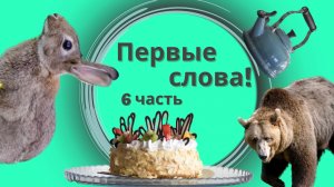 Запуск речи - Учимся говорить. 6 Часть
