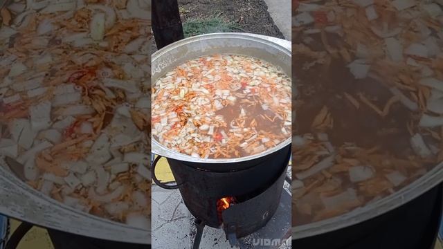 Суп с тушёнки,на даче.?