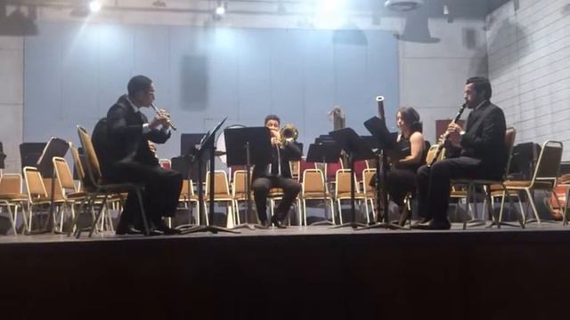 Danzi, Franz - Wind Quintet Op. 56 No. 2 in G minor, 1st Mov. смотреть онлайн