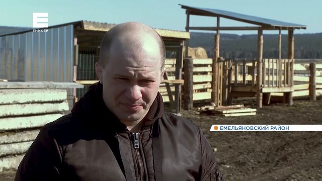 В Красноярском крае фермеры получат гранты на 60 млн рублей смотреть онлайн