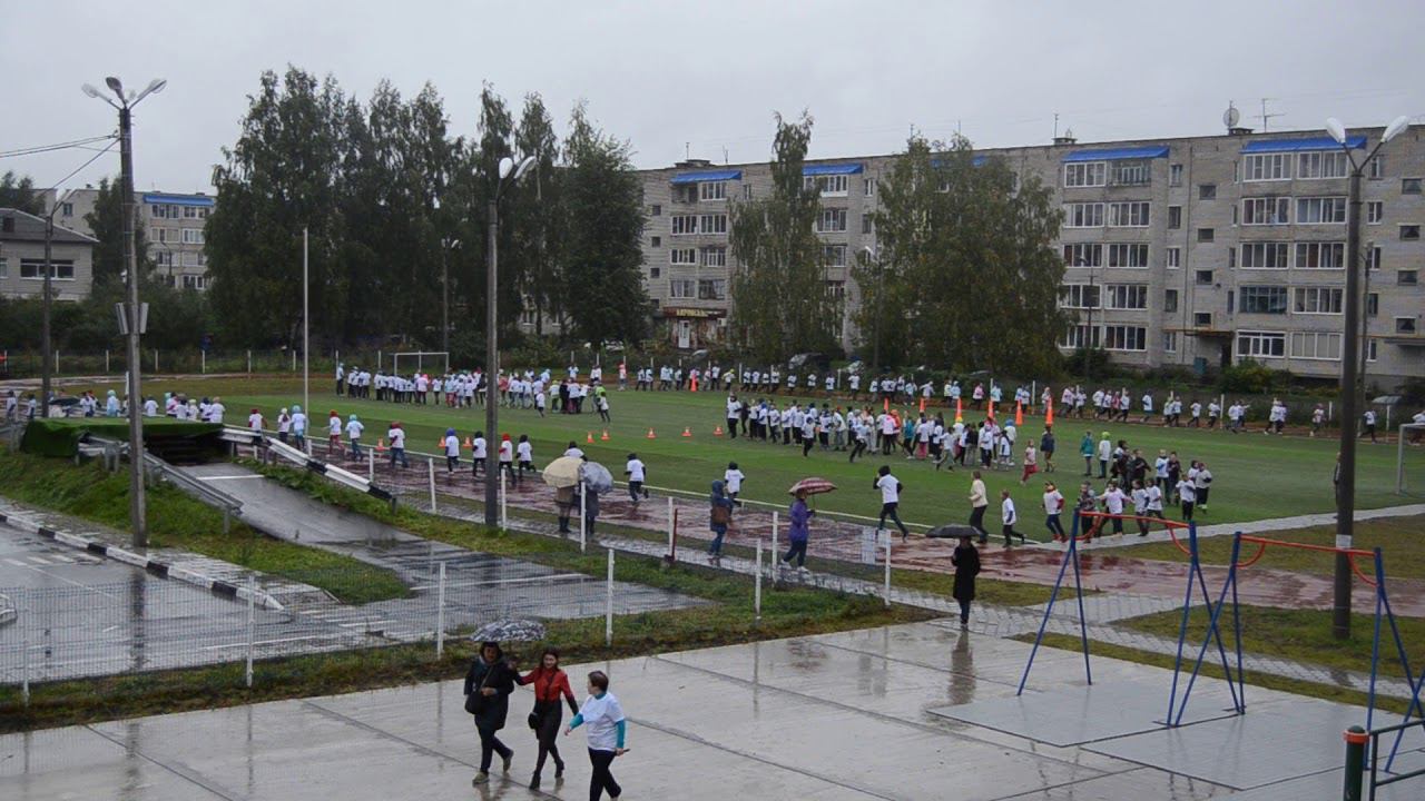 DSC 0033 смотреть онлайн
