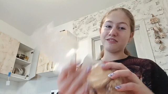 шоколадная колбаса/вкусно/головка