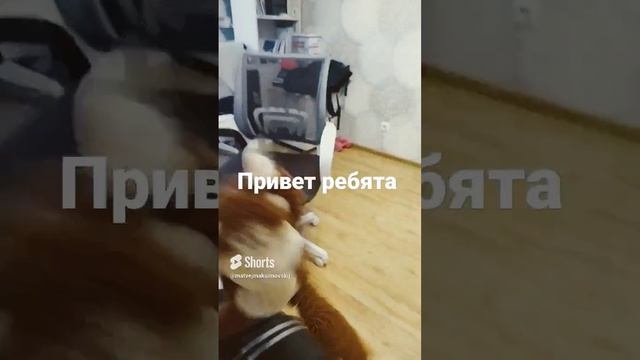 18 декабря 2022 г..mp4 смотреть онлайн