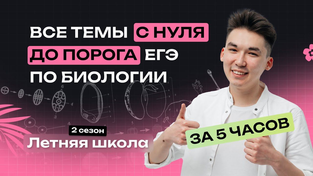 С НУЛЯ ДО ПОРОГА ЕГЭ ПО БИОЛОГИИ ЗА 5 ЧАСОВ (продолжение веба) | NeoFamily смотреть онлайн