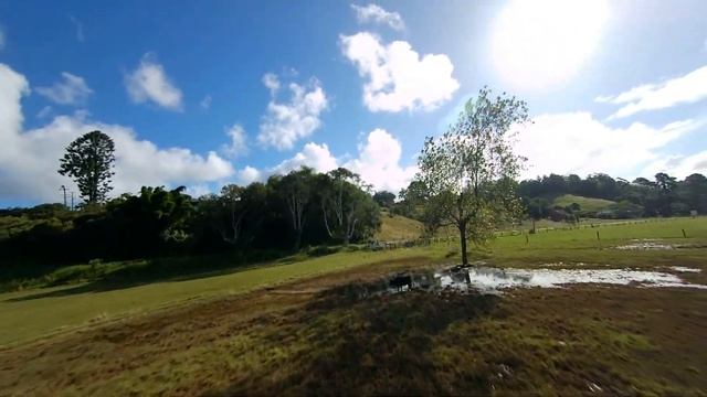 Cinematic FPV Drone Cruising: Bellingen [Runcam 5 Orange and Gyroflow] смотреть онлайн