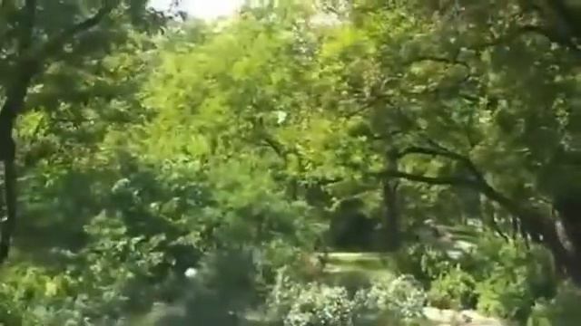 2012 05 13 Одесса Потёмкинская лестница Бульвар 1) смотреть онлайн