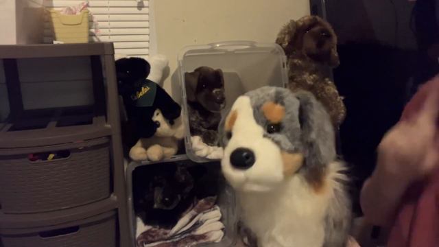 Hello! My name is brentley and this is my essa channel!￼ смотреть онлайн