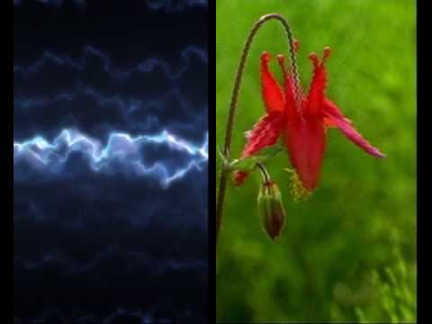 Черное и белое (клип )ГОУ ЦО 1481 смотреть онлайн