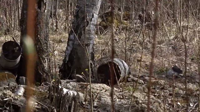 Russkaya Tsvetnaya Bolonka (русская цветная болонка) смотреть онлайн