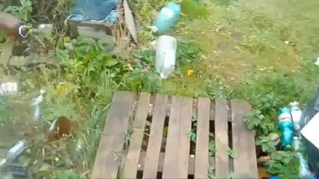 вот он - эфир смотреть онлайн