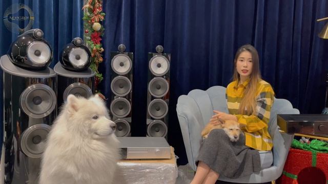 樂府音響【最新Audiolab 9000A & Audiolab 9000CDT】超越期待！物超所值的音響系統！@allegroltdtw ·CC字幕 смотреть онлайн